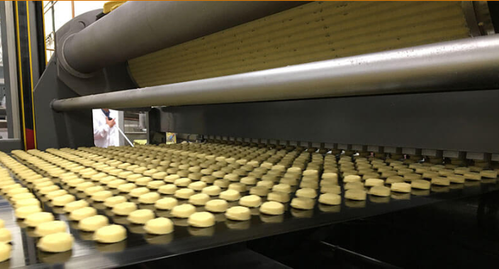 food safety heat lamp for convection oven